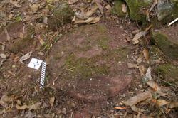 Disc 52020014 Thumbnail