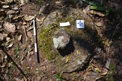 Disc 52020016 Thumbnail