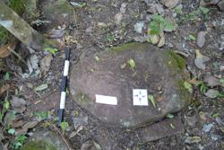 Disc 52020018 Thumbnail