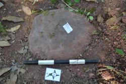 Disc 52020021 Thumbnail