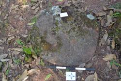 Disc 52020022 Thumbnail