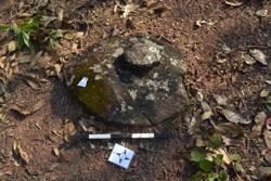 Disc 52020027 Thumbnail