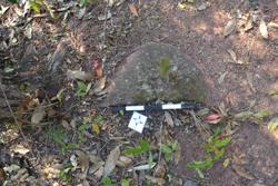 Disc 52020028 Thumbnail