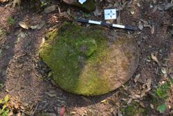 Disc 52020029 Thumbnail