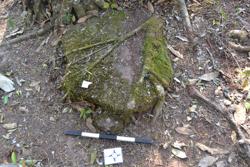 Disc 52020031 Thumbnail