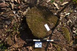 Disc 52020032 Thumbnail
