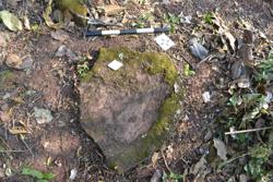 Disc 52020034 Thumbnail