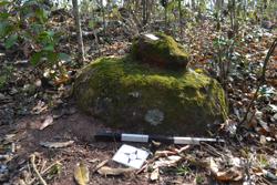Disc 52020035 Thumbnail