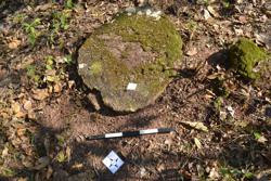 Disc 52020043 Thumbnail