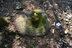 Disc 52020044 Thumbnail