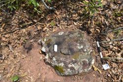 Disc 52020049 Thumbnail