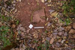 Disc 52020051 Thumbnail