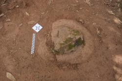 Disc 52020052 Thumbnail