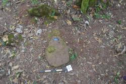 Disc 52030002 Thumbnail