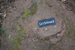 Disc 52030003 Thumbnail