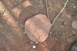 Disc 52030007 Thumbnail
