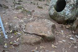 Disc 52030008 Thumbnail