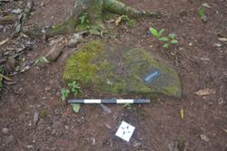 Disc 52030009 Thumbnail