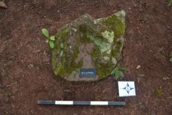 Disc 52030011 Thumbnail