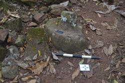 Disc 52030012 Thumbnail