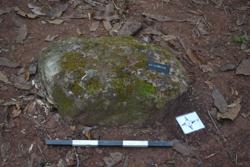 Disc 52030013 Thumbnail