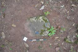 Disc 52030015 Thumbnail