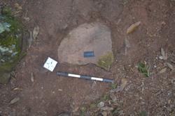 Disc 52030016 Thumbnail