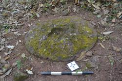 Disc 52030017 Thumbnail