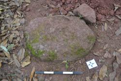 Disc 52030018 Thumbnail