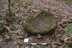 Disc 52030019 Thumbnail
