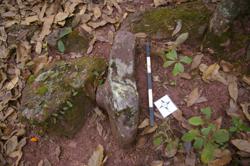 Disc 52030020 Thumbnail