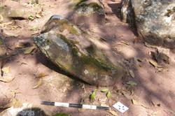 Disc 52030023 Thumbnail