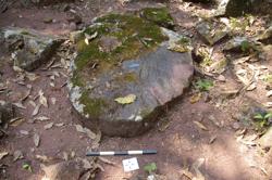 Disc 52030024 Thumbnail