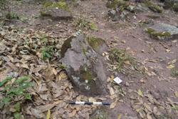 Disc 52030025 Thumbnail