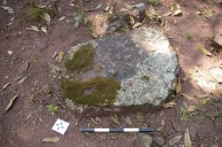 Disc 52030026 Thumbnail