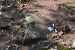 Disc 52030027 Thumbnail