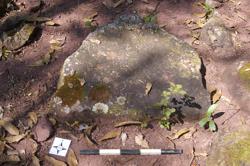 Disc 52030028 Thumbnail