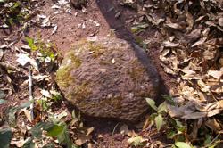 Disc 52030029 Thumbnail