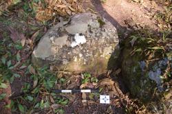 Disc 52030030 Thumbnail