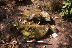 Disc 52030031 Thumbnail