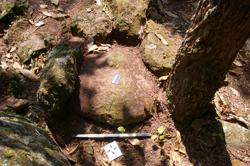 Disc 52030032 Thumbnail