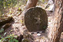 Disc 52030033 Thumbnail