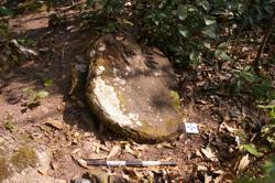 Disc 52030034 Thumbnail