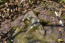 Disc 52030036 Thumbnail