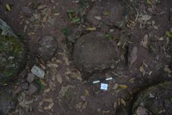 Disc 52030037 Thumbnail