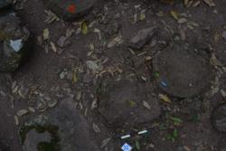 Disc 52030038 Thumbnail