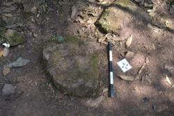 Disc 52030042 Thumbnail