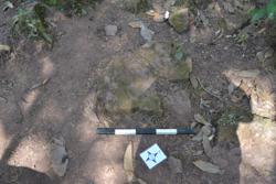Disc 52030043 Thumbnail