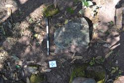 Disc 52030045 Thumbnail