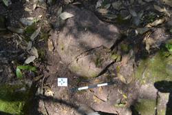 Disc 52030046 Thumbnail